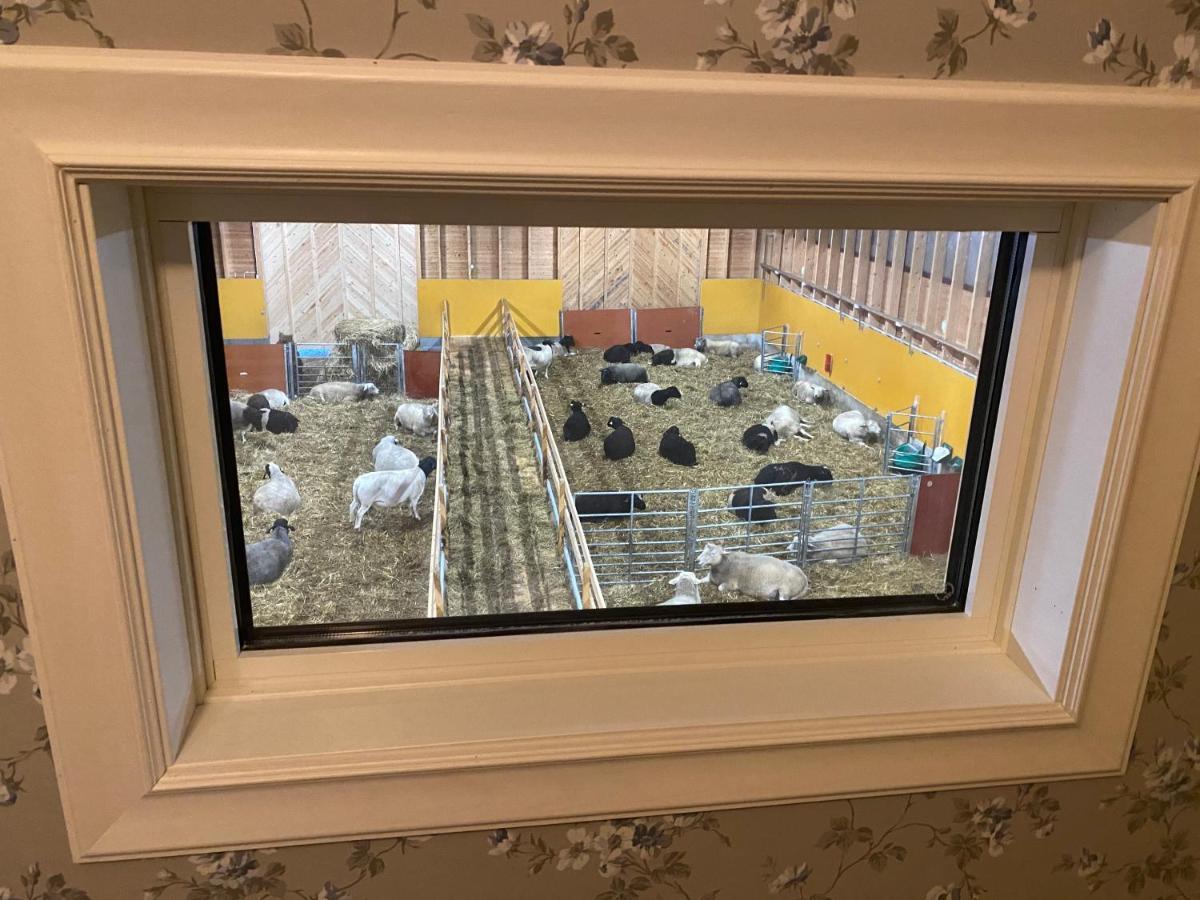 Norrfjarden Newly Built Apartment Next Door To The Sheep מראה חיצוני תמונה